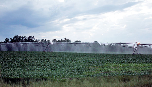 Rural Georgia Irrigation Services Rates