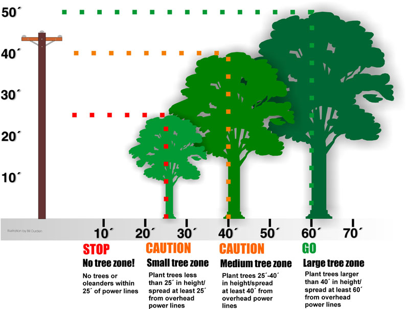 Tree Trimming Chart Washington EMC